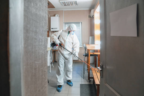 Best Mold Prevention Services  in Hawkinsville, GA