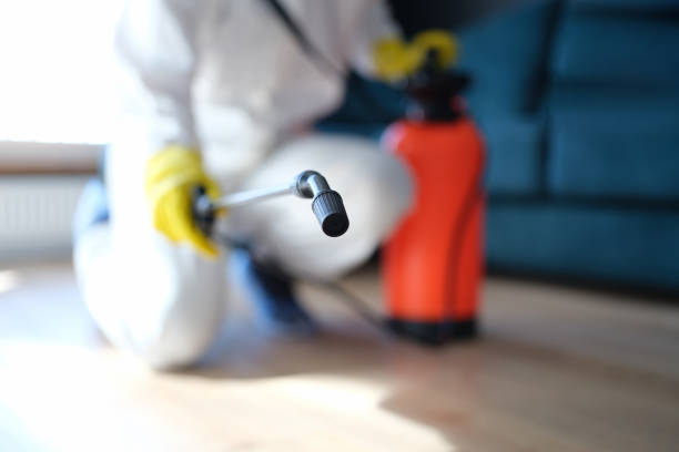 Mold Remediation for Vacation Homes in Hawkinsville, GA