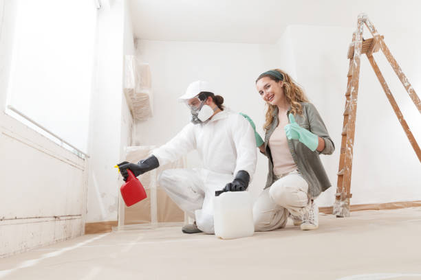 Trusted Hawkinsville, GA Mold Inspection, Removal & Remediation Experts