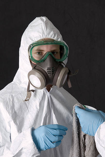 Best Asbestos and Lead Testing During Mold Inspection  in Hawkinsville, GA